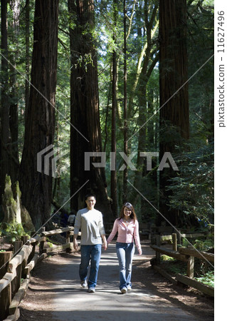Asian couple walking in woods Asian couple walking in woods 11627496