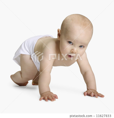 Studio shot of baby crawling 11627833