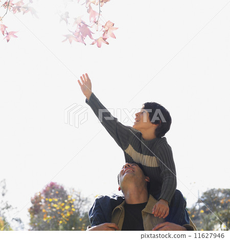 Mixed Race father and son in park Mixed Race father and son in park 11627946
