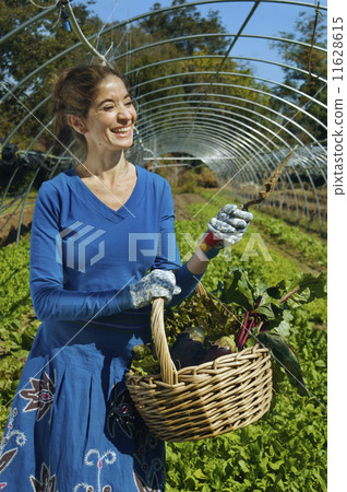 Middle Eastern woman holding basket of organic produce 11628615