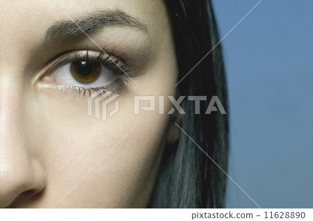 Close up of woman's eye and nose Close up of woman's eye and nose 11628890