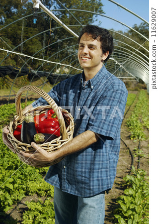 Man holding basket of organic produce Man holding basket of organic produce 11629007