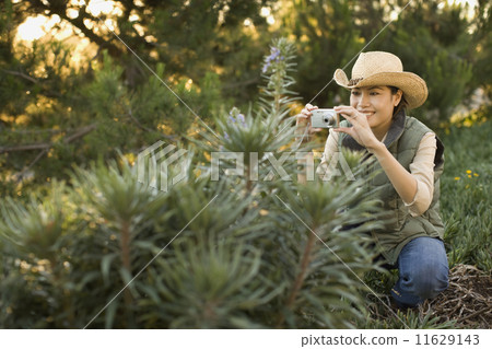Asian woman taking photograph of plant 11629143