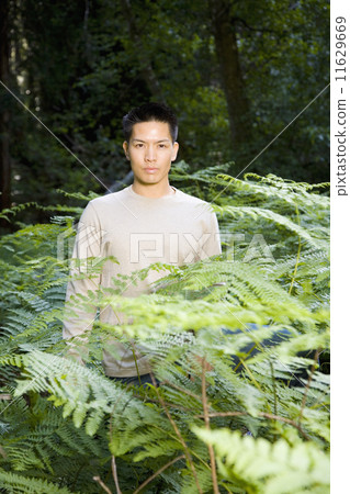 Asian man in woods Asian man in woods 11629669