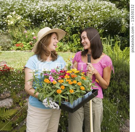 Two women with flat of plants in garden Two women with flat of plants in garden 11630132