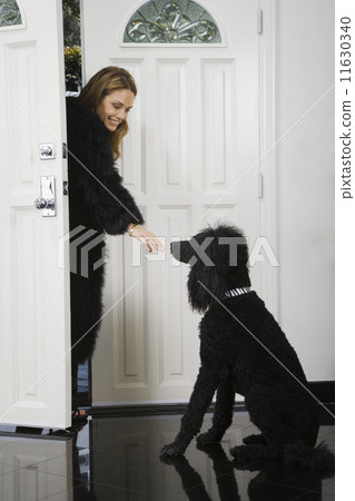 Hispanic woman coming home to dog 11630340