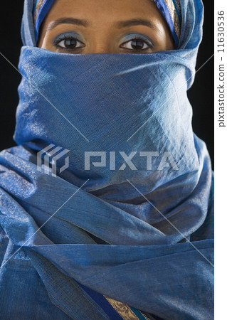 Indian woman in traditional dress 11630536