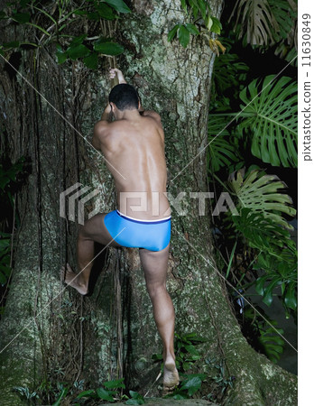 Hispanic man wearing bathing suit climbing tree Hispanic man wearing bathing suit climbing tree 11630849