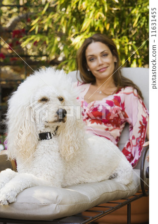 Hispanic woman on lounge chair with dog 11631455