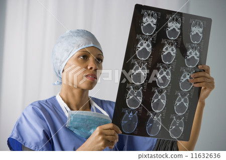 African American female doctor looking at x-ray 11632636