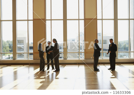 Group of businesspeople talking in sunlit room  11633306