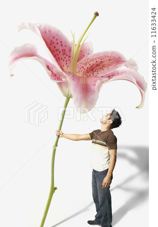 Young man holding a giant orchid 11633424