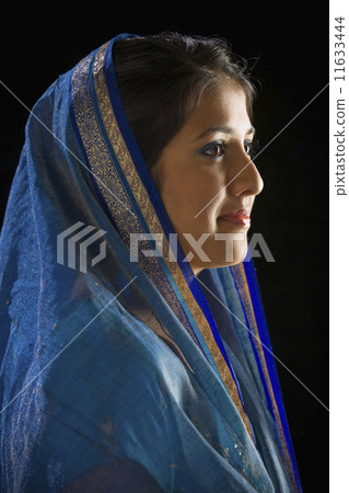 Indian woman in traditional dress Indian woman in traditional dress 11633444