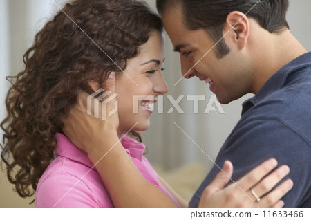 Portrait of an affectionate young couple 11633466
