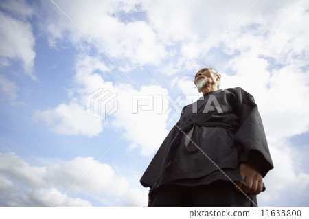Low angle view of senior Asian man 11633800