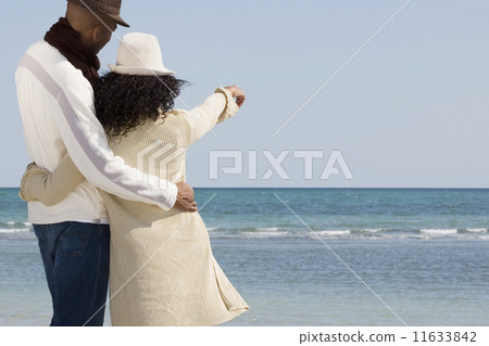 Multi-ethnic couple hugging and pointing at beach 11633842