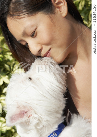 Asian woman kissing dog Asian woman kissing dog 11634150