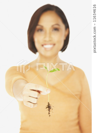 Asian woman holding seedling 11634616