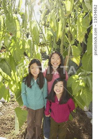 Three young Asian sisters smiling outdoors Three young Asian sisters smiling outdoors 11634662