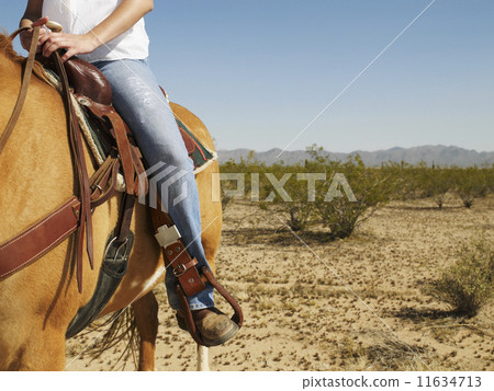 Hispanic woman riding horse Hispanic woman riding horse 11634713
