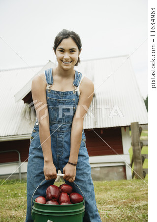 Girl carrying bucket of apples on farm Girl carrying bucket of apples on farm 11634963