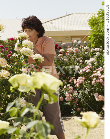 Hispanic woman smelling flower 11635319