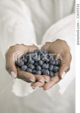 Close up of hands holding blueberries 11635532