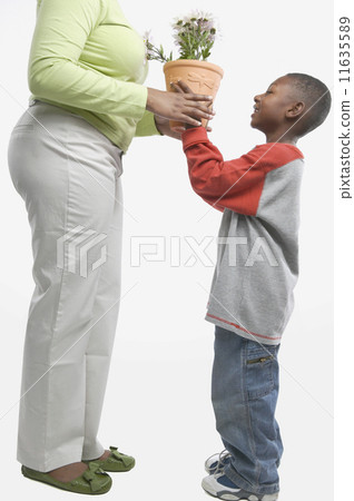 Studio shot of young African boy giving potted plant to his mother Studio shot of young African boy giving potted plant to his mother 11635589