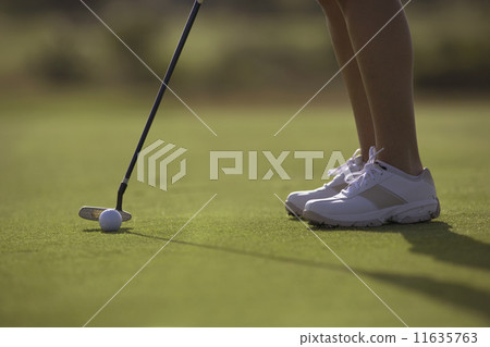Hispanic woman playing golf 11635763