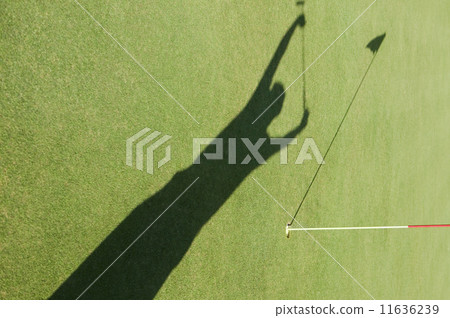 Shadow of man cheering on golf course 11636239