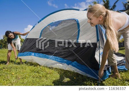 Hispanic women setting up tent 11636337