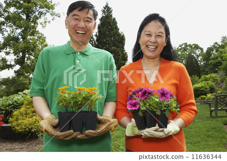 Senior Asian couple holding potted plants Senior Asian couple holding potted plants 11636344