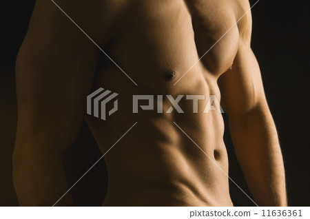 Mixed Race man's bare torso 11636361