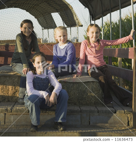 Young girls sitting on hay bales in back of truck 11636473