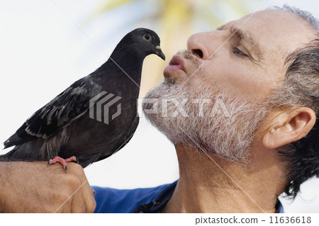 Man kissing bird Man kissing bird 11636618