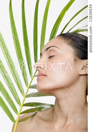 Indian woman next to palm frond 11636839