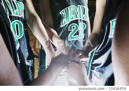 Close up of girl's hands in team huddle 11636859