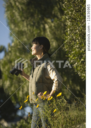 Asian woman holding binoculars 11636965