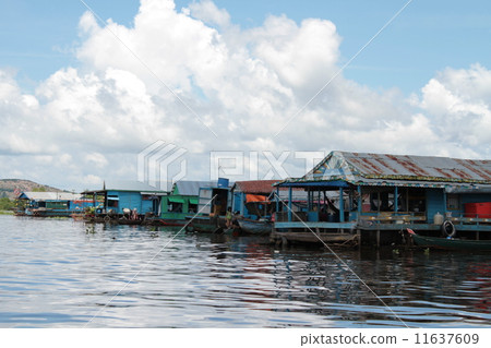Water life on Tonle Sap Lake Water life on Tonle Sap Lake 11637609