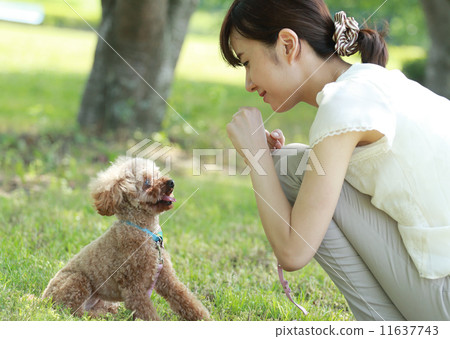 A dog and a young lady A dog and a young lady 11637743