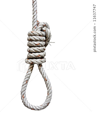 Rope And Knot 11637747