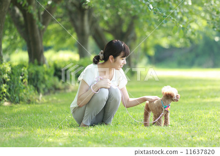 A dog and a young lady 11637820
