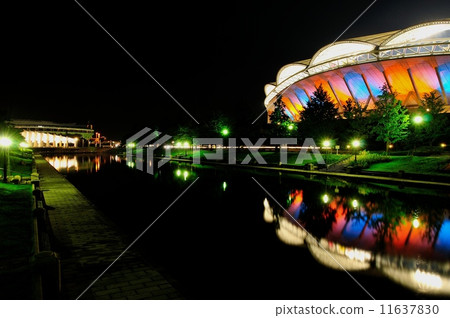 大天鵝點亮（2014年8月） 11637830