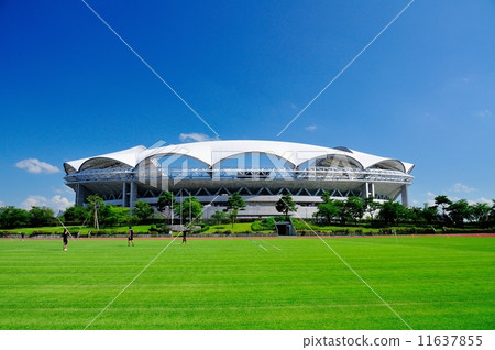 Swanfield and Big Swan 11637855