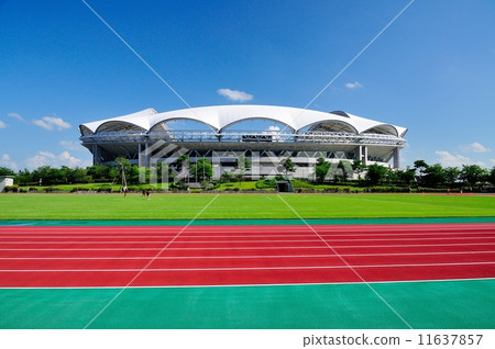 Land truck and big swan Land truck and big swan 11637857