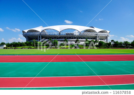 陸地卡車和大天鵝 陸地卡車和大天鵝 11637858