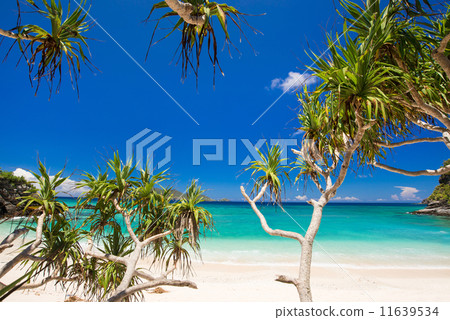 Okinawa's sea · Akajima - Hiszchi beach 11639534