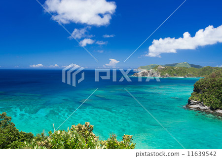 Okinawa's sea, Akajima 11639542