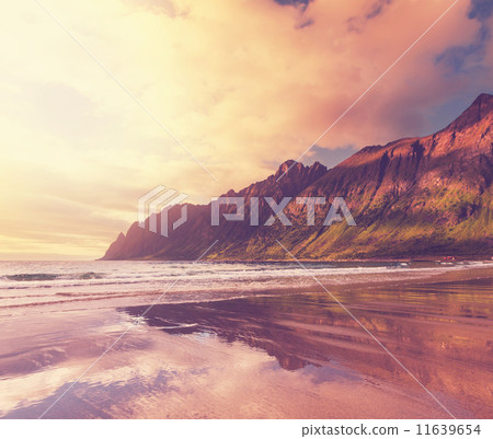 Senja island Senja island 11639654