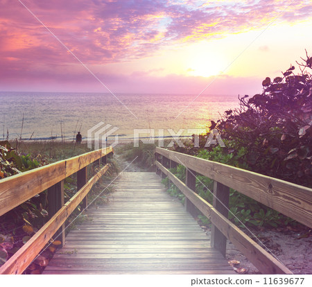 Boardwalk on beach Boardwalk on beach 11639677